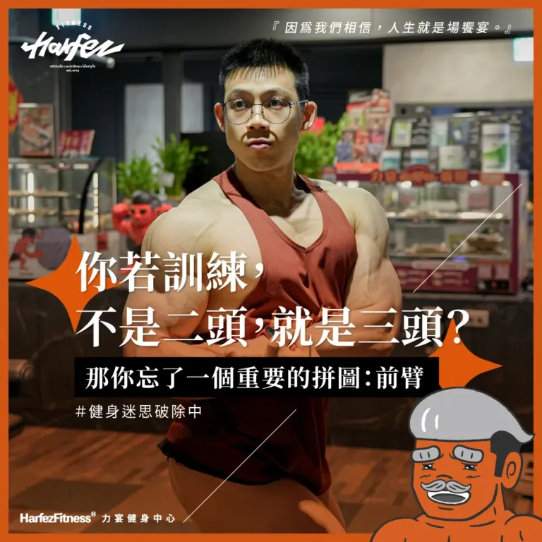 你若訓練， 不是二頭，就是三頭？