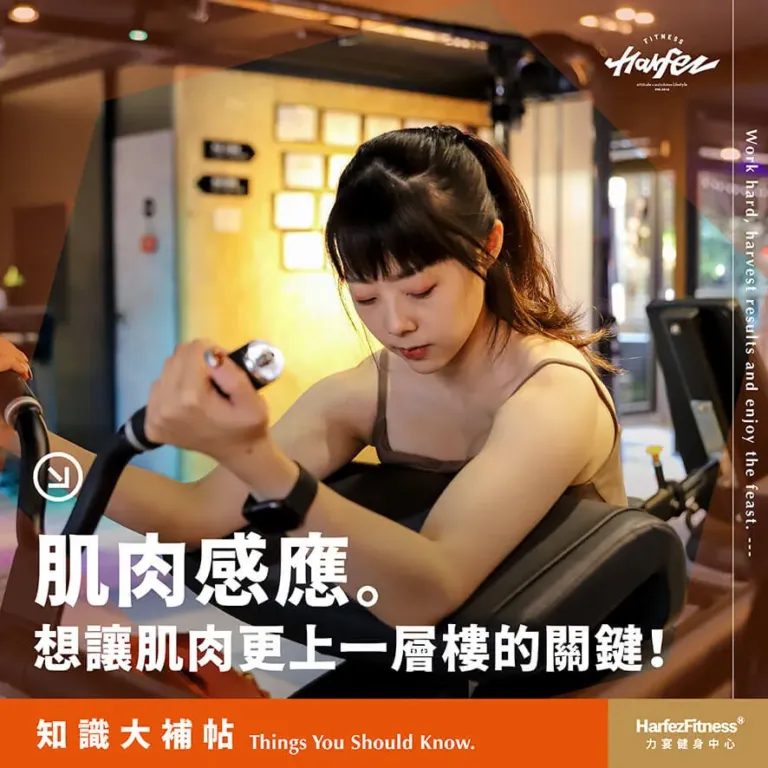 肌肉感受度