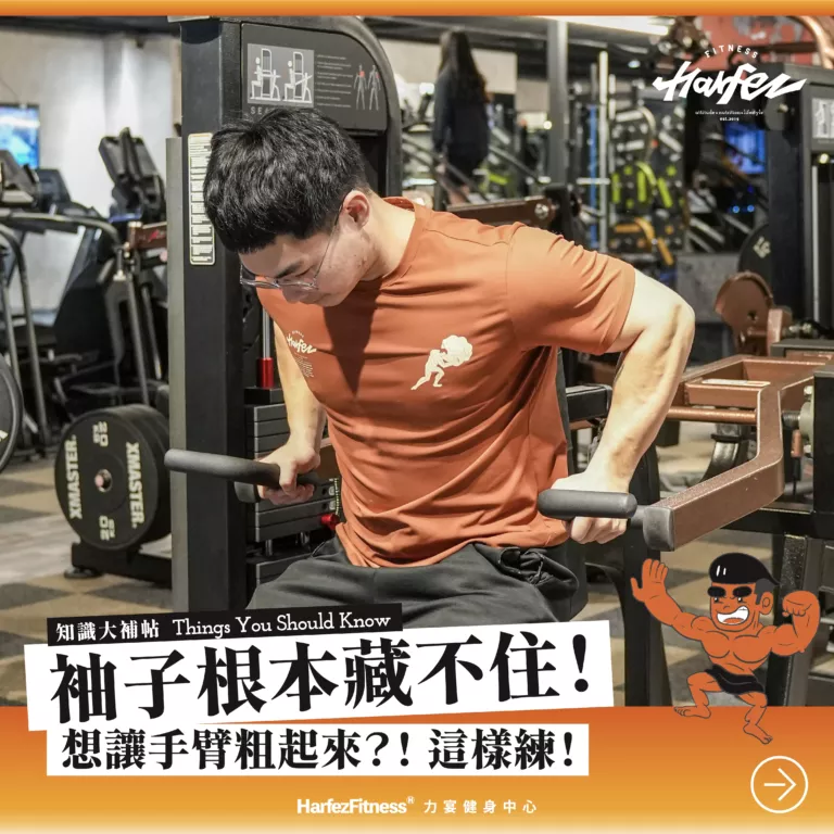 袖子根本藏不住！手臂粗起來這樣練！