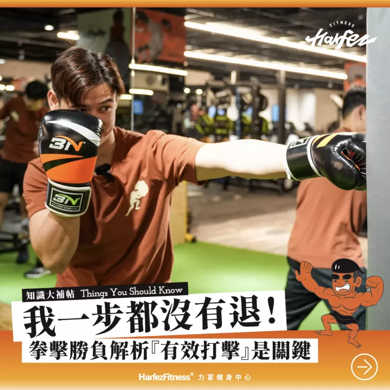 我一步都沒有退！拳擊勝負解析『有效打擊』是關鍵