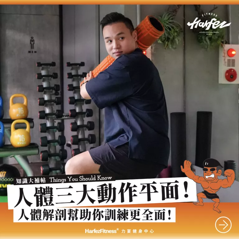 人體三大動作平面！人體解剖幫助你訓練更全面