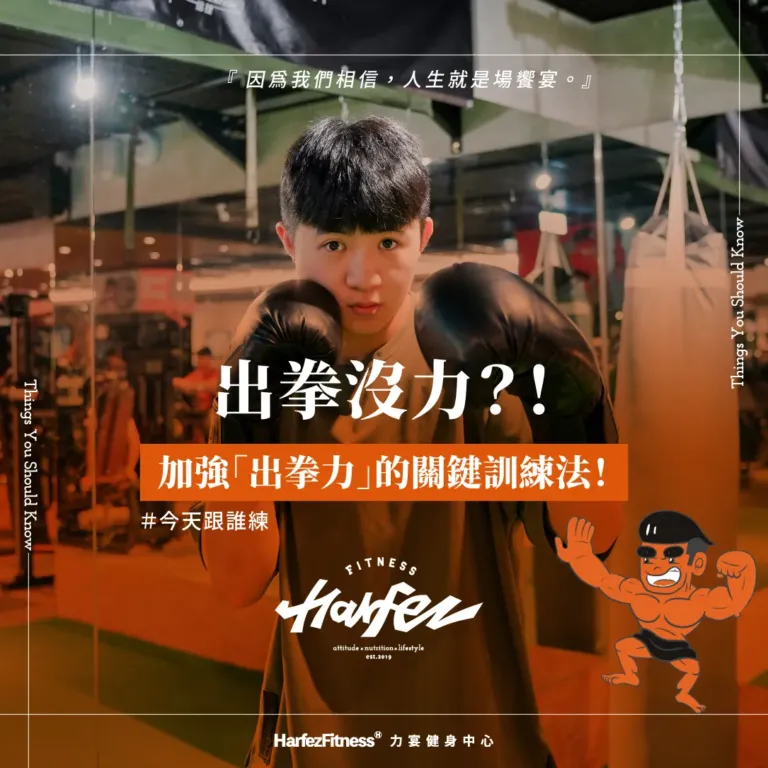 出拳沒力？！加強「出拳力」的關鍵訓練法！