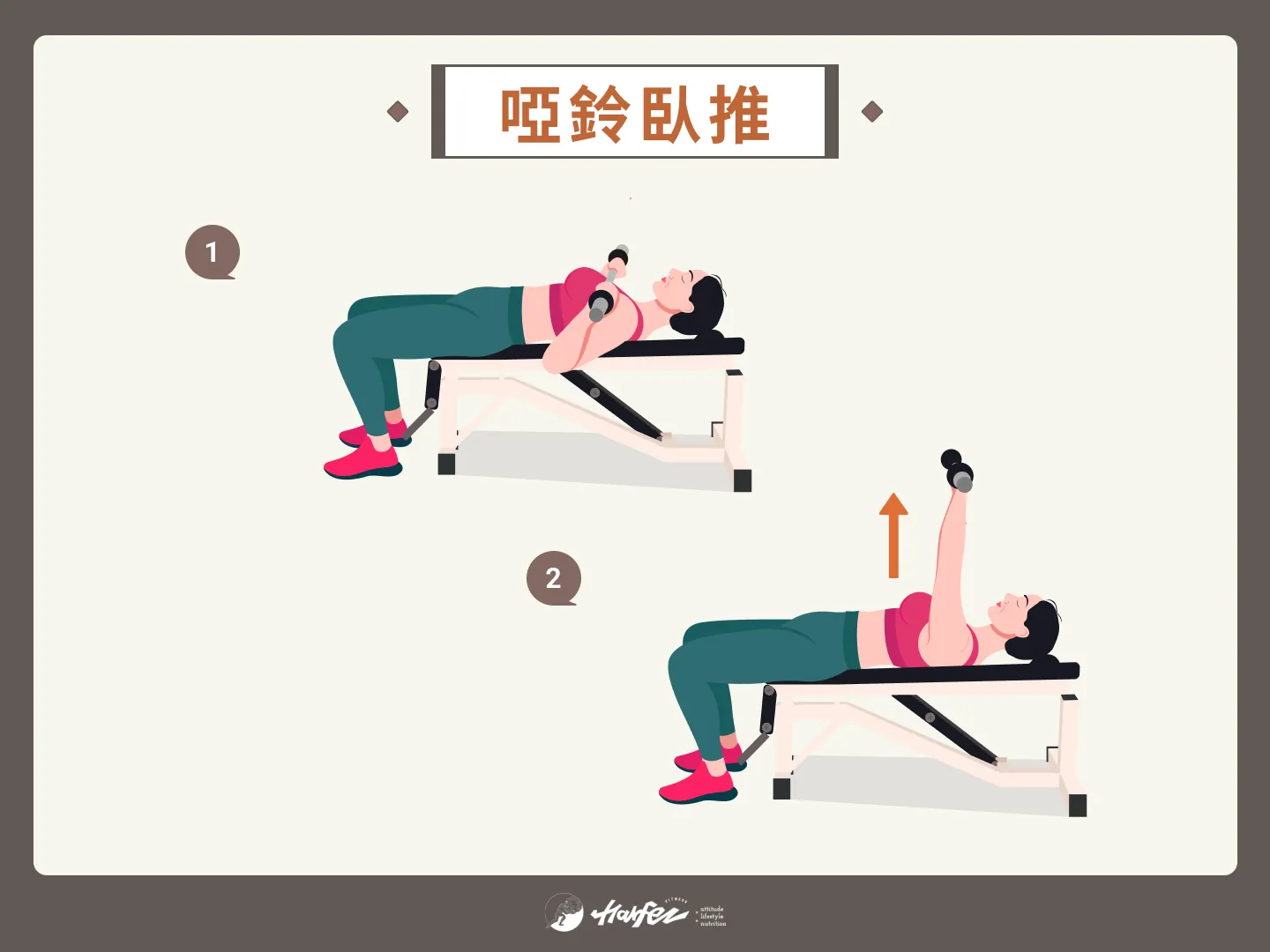 啞鈴臥推