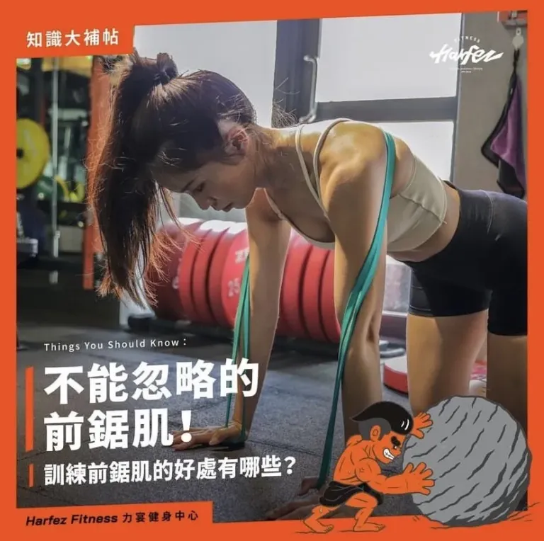 前鋸肌