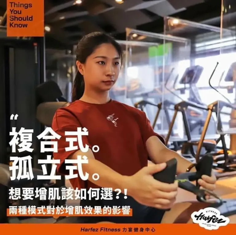 孤立式 複合式