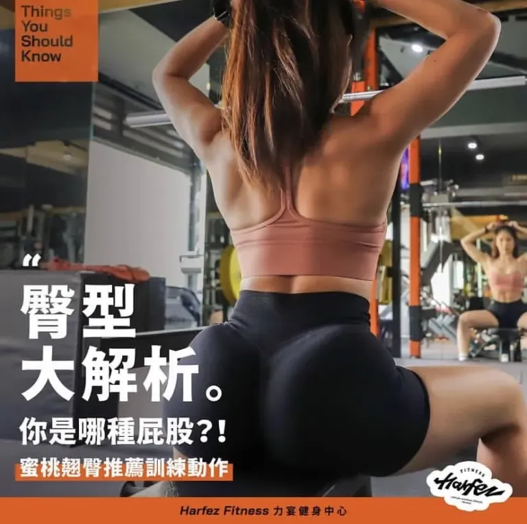 臀型
