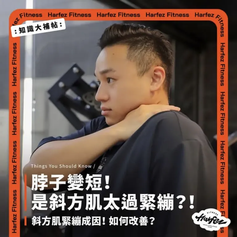 斜方肌