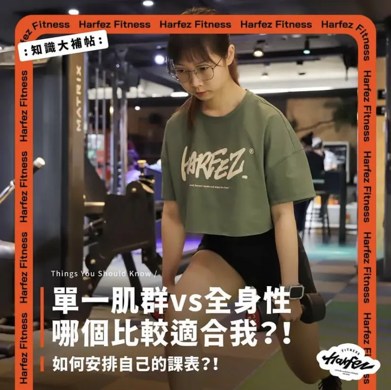 單一肌群訓練
