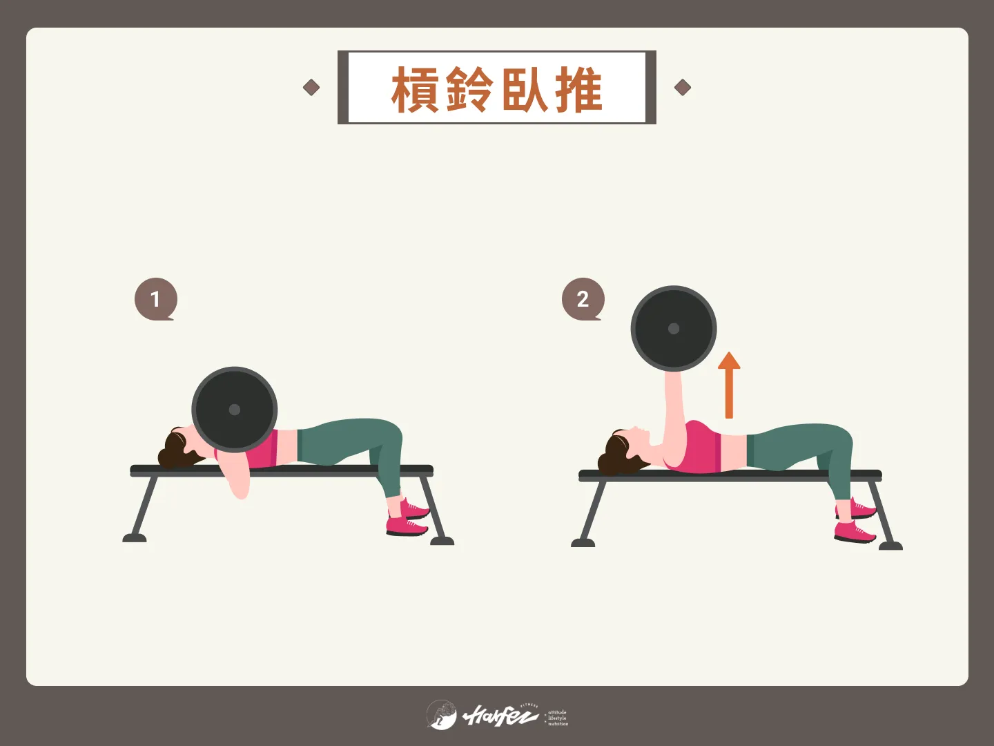 新手重訓菜單常見 4 動作：槓鈴臥推