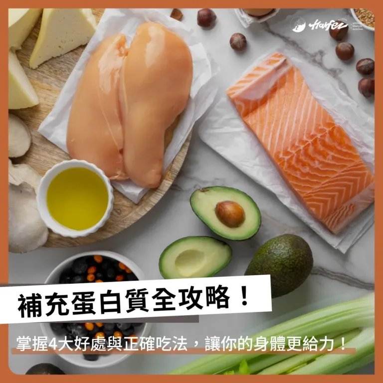 補充蛋白質全攻略！掌握4大好處與正確吃法，讓你的身體更給力！