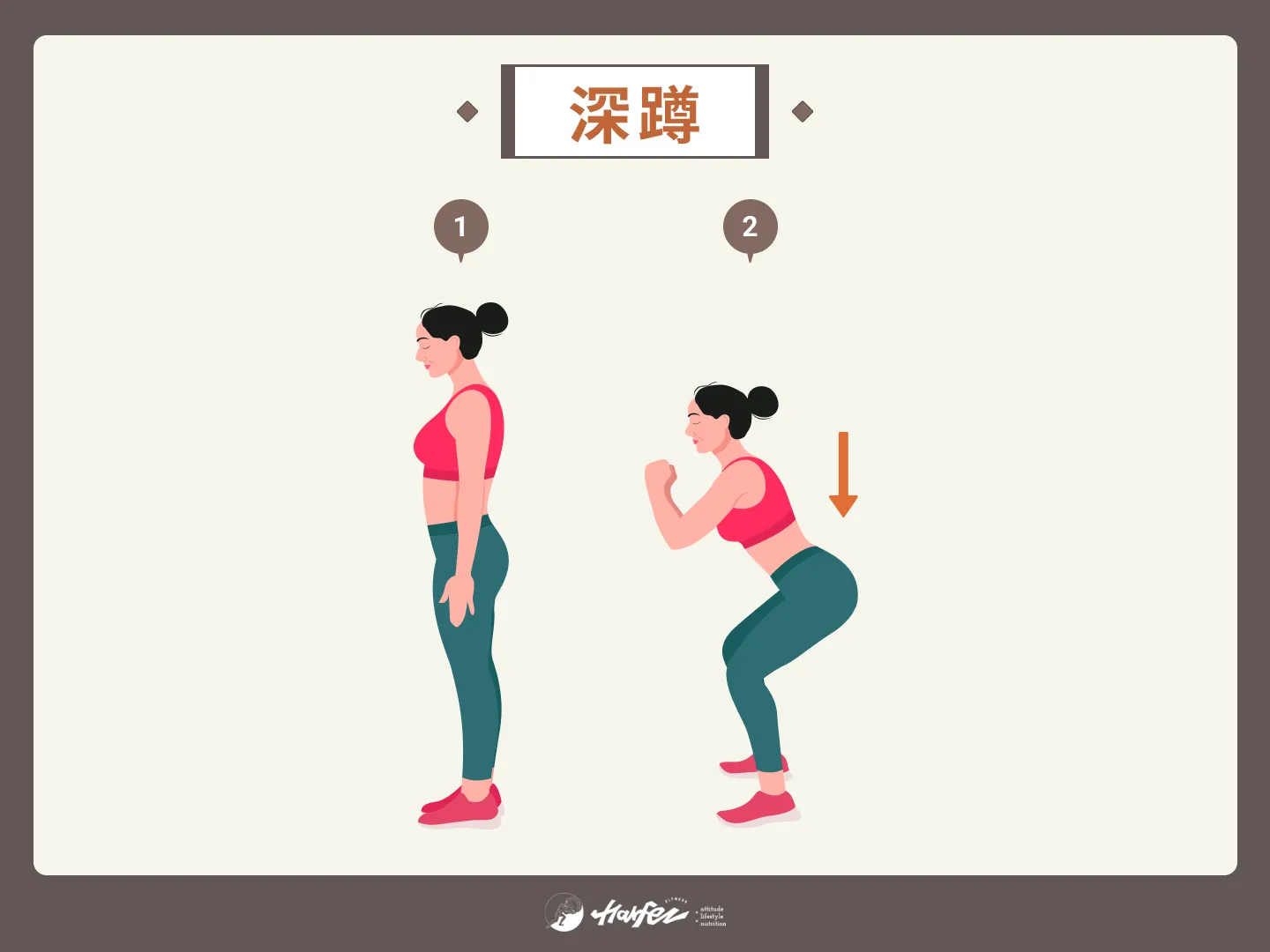 練臀動作 3：深蹲