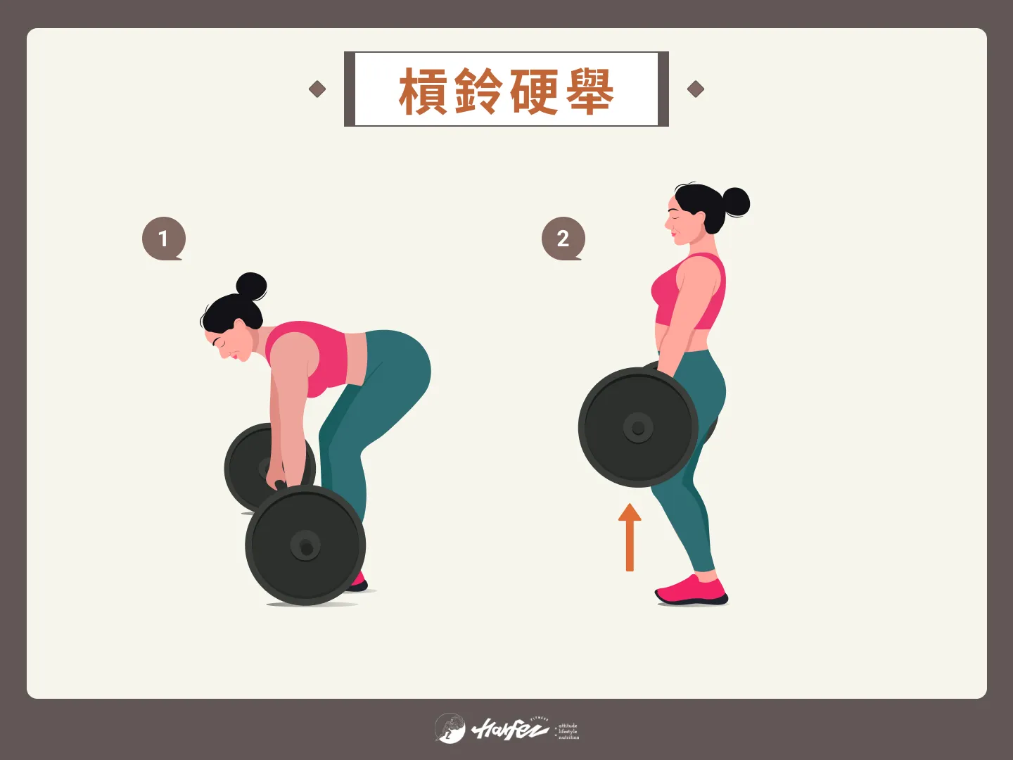 練臀動作 4：槓鈴硬舉